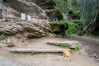 Cat refuge, Blue Trail, Cinque Terre, Italy