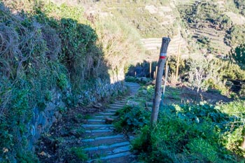La descente de Volastra à Manarola, Cinque Terre, Italie