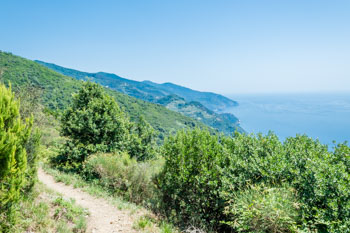 Una parte del sentiero tra il Santuario Soviore e Vernazza, Cinque Terre, Italia
